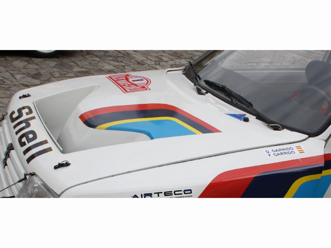 Cofano Anteriore Peugeot 205 T16_T02_M